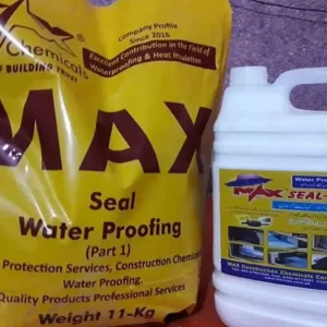 Max Seal. Roof Waterproofing Services with Elastomeric Cementetios Chemical