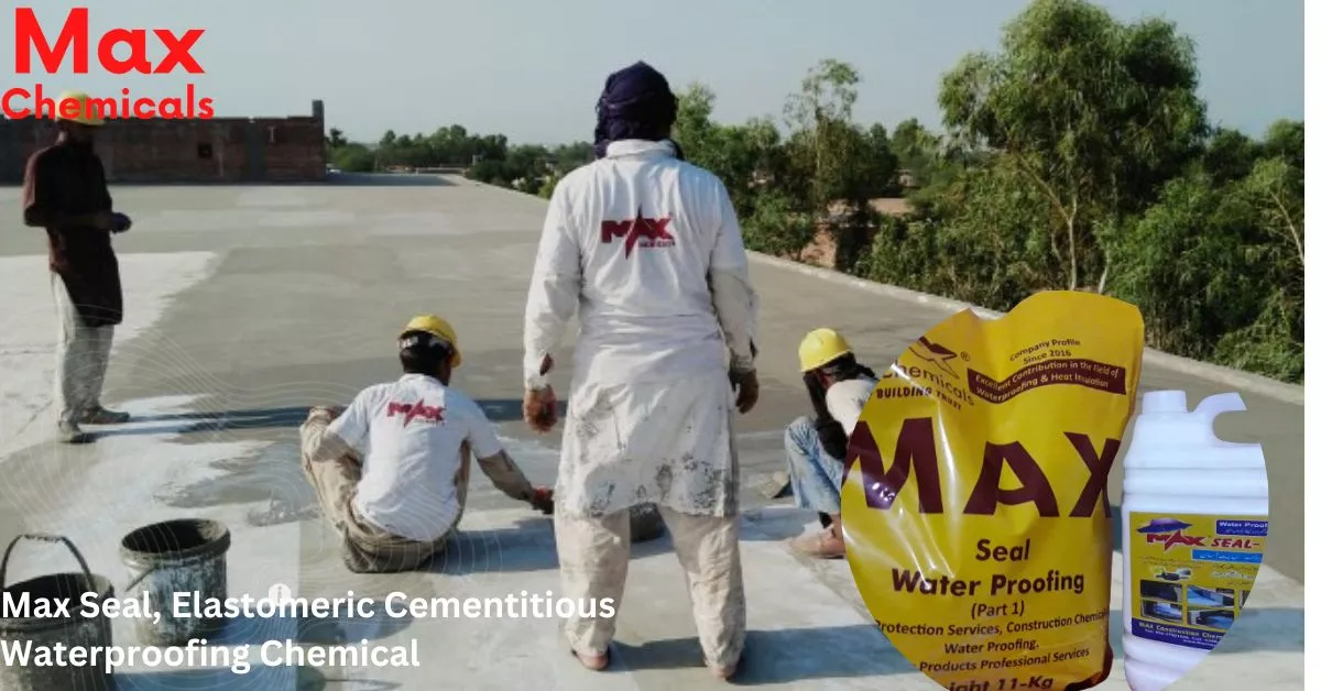 Roof Waterproofing Services with Max seal elastomeric cementitious waterproofing chemical
